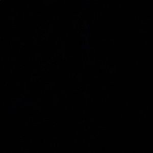 Meet your Posher, Randy